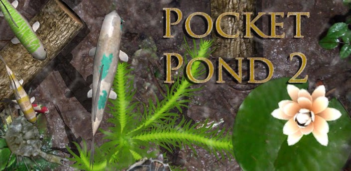 Pocket Pond 2