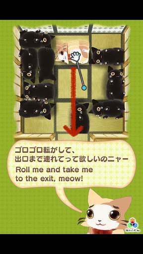 ROLL MEOW OUT