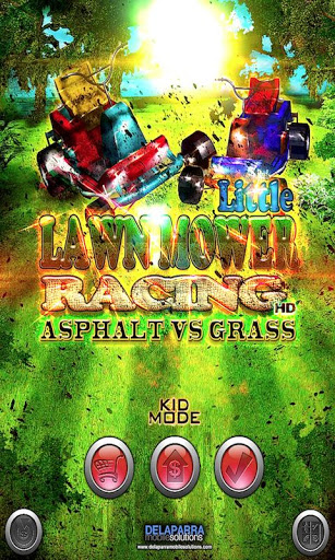 LITTLE LM RACING Asphalt Grass