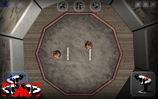 Sumo (Two player game)
