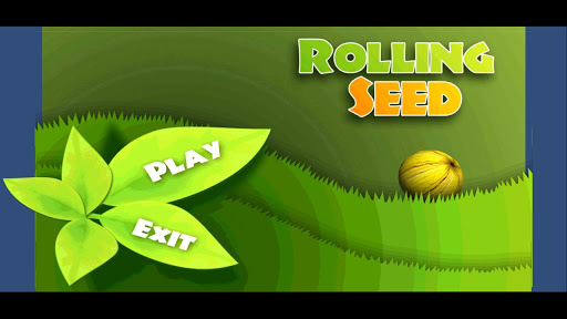 Balance Ball 3D-Rolling Seed