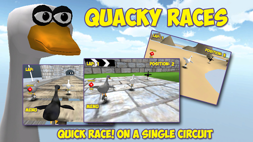Quacky Races