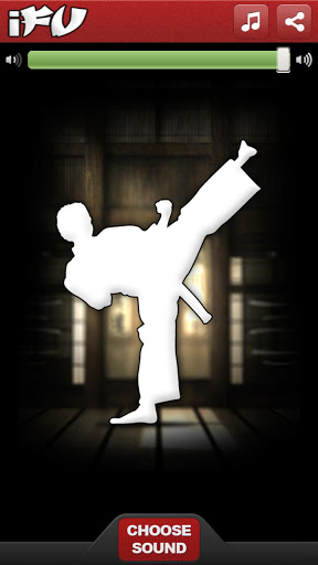 iFu - Virtual Kung Fu Game