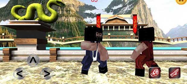 kung fu fighter 2013 download