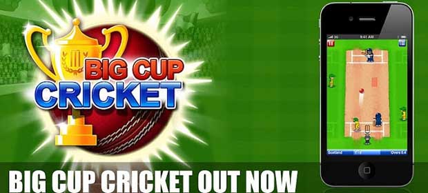 Big Cup Cricket Free