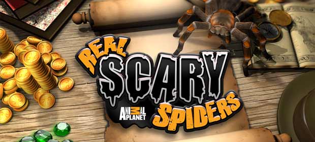 Real Scary Spiders