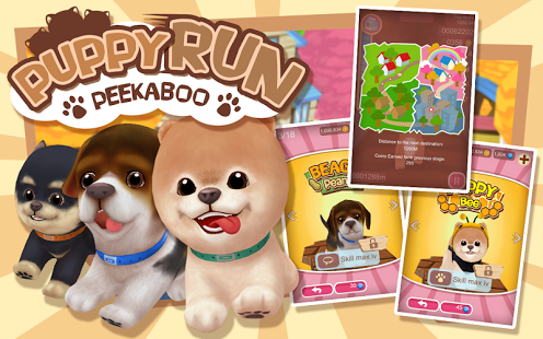 Puppy Run: Peeka Boo