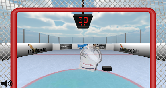 Puck Stopper