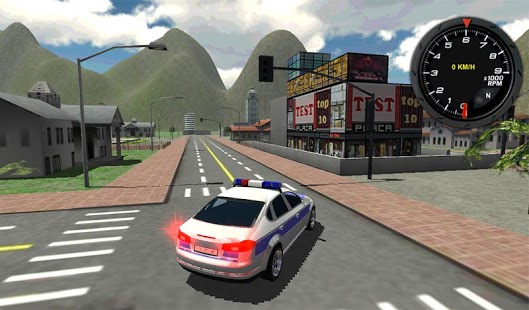 Police Car Driver 3D