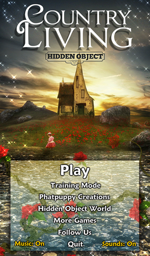 Hidden Object - Country Living