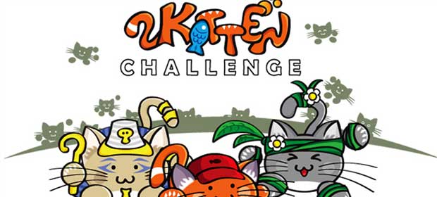 Kitten Challenge