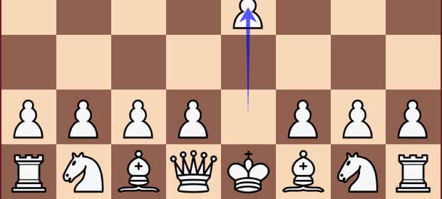 beginner online chess