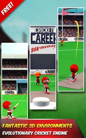 Cricket Career Biginnings 3D