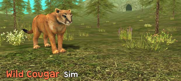 Wild Cougar Sim 3D