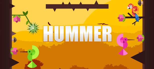 Hummer: The Humming Bird